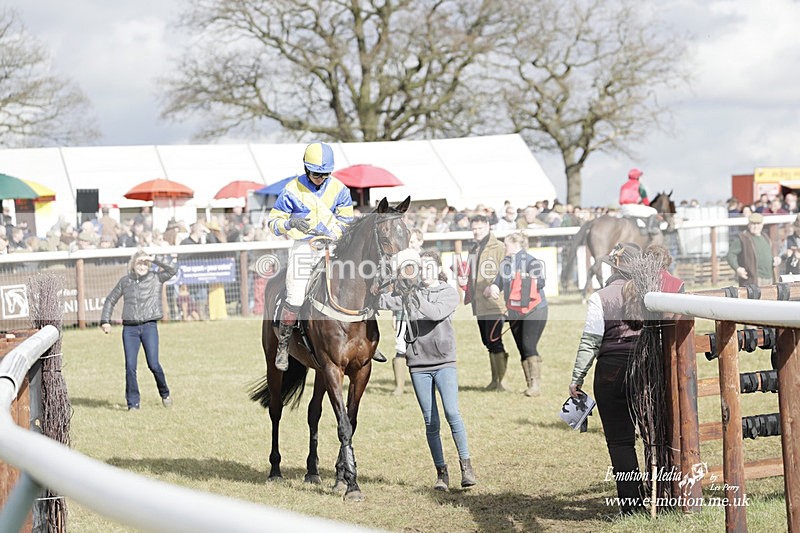 PtP 180323 637 - Shelfield Park Races with Croome & West Warwickshire Hunt  18/03/23