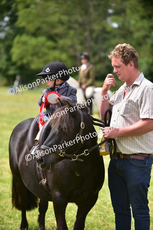 20260614-4031 - Class 16 - Handsome Gelding