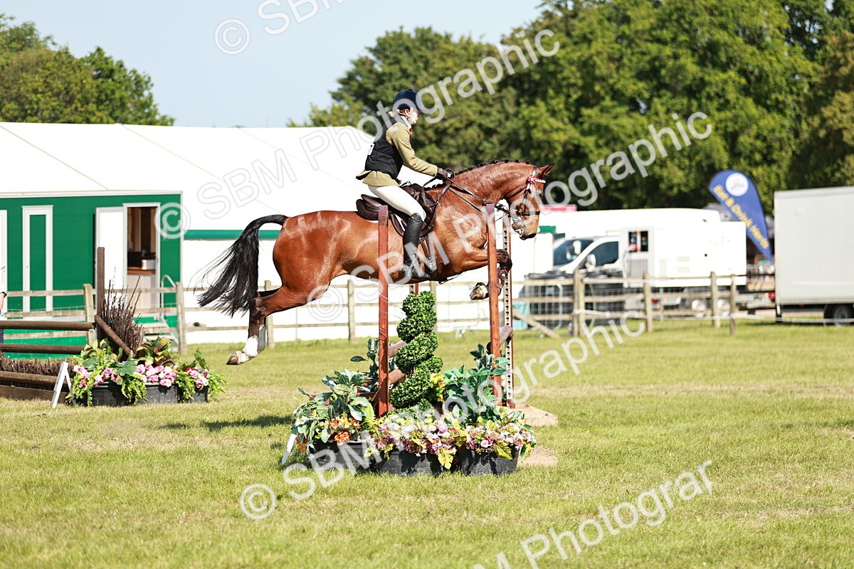 SBM_18821 - Class 114 - RIHS & SEIB Open Working Show Horse