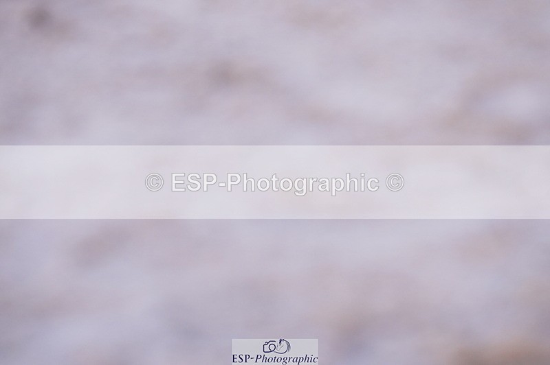 240802A-192440-06218 - Cls 20 Area Trial