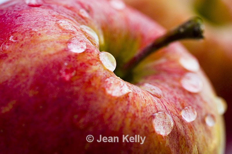 Apple - 5364 - Fruit