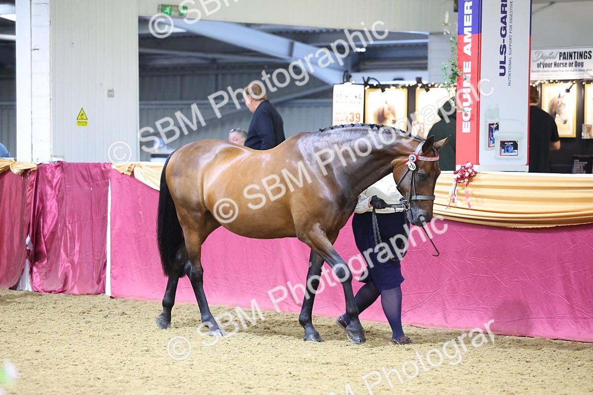 SBM_20945 - Class 902 - Supreme Final IH Veteran