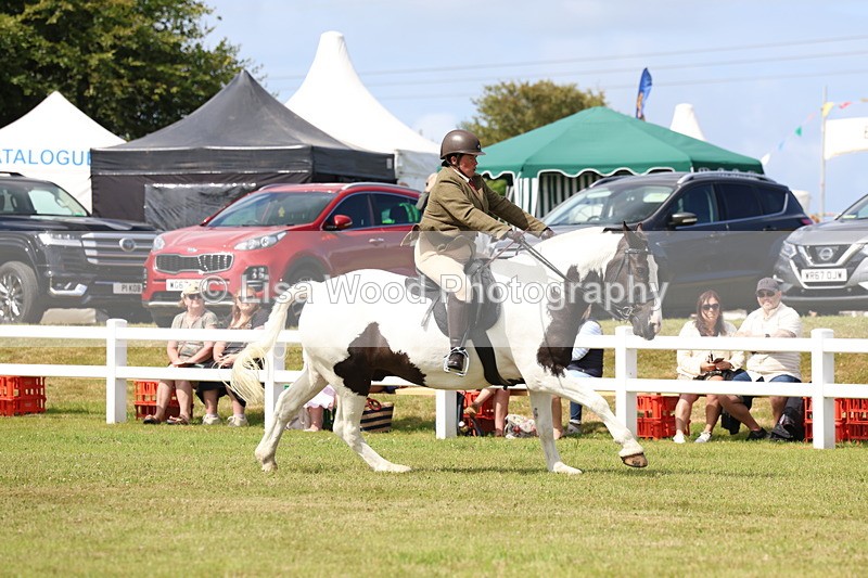 3E7A9942 - Class 5: Rising Star Lightweight/Heavyweight Cobs