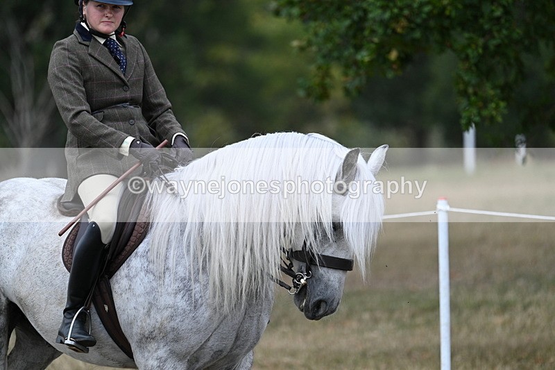WJ7_4747 - Class 12 Ridden Cob