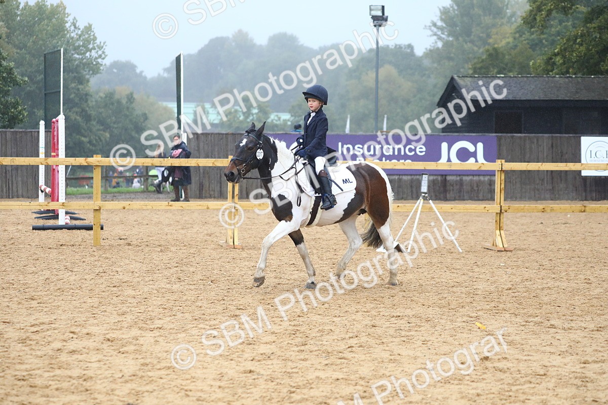 SBM_71816 - J4 - Mini Tour Junior Pony 45cm Championship