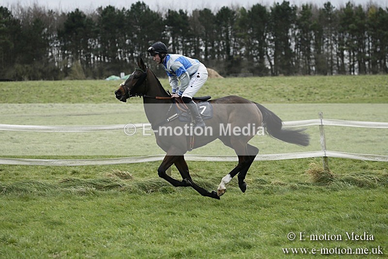 PtP 031217 237 - Hursley Hambledon Point-to-Point Larkhill 03/12/17