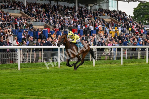 120724-Race 5-Sisyphean-6269 - Race 5 4.20pm George Blades Memorial Handicap