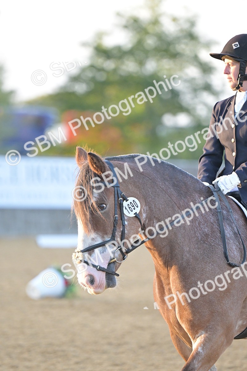 SBM_13540 - D3 - Small Tour Championship Intro 3