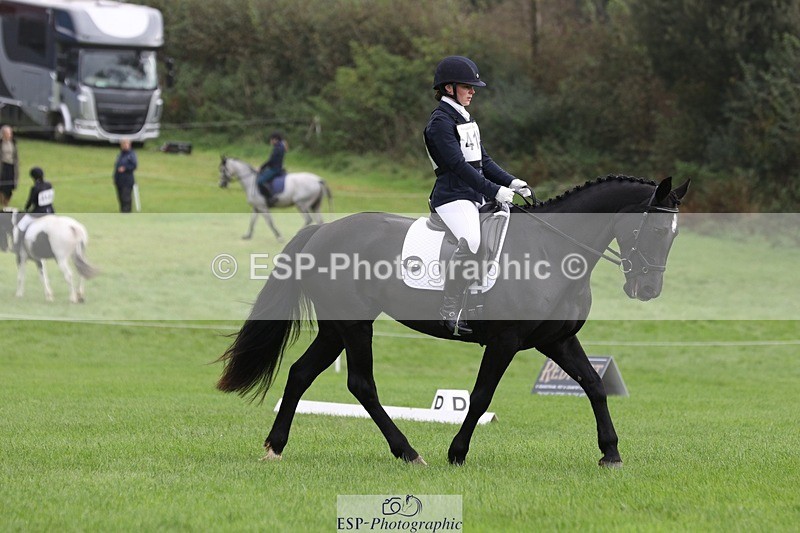 231019-103042-02339 - 414-LAMBORO.SPARKY-Lucy.Jowett-DR