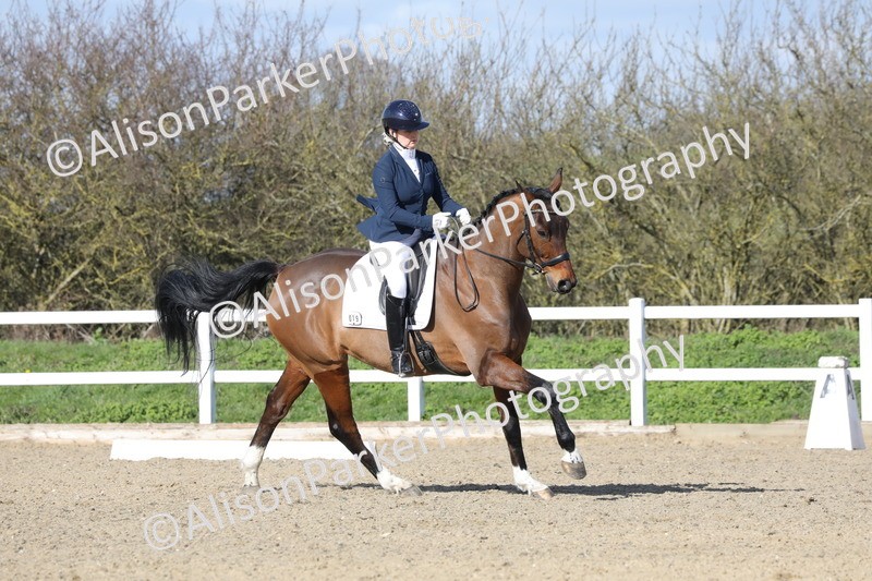 20260314-4941 - CT6 - Elementary 1