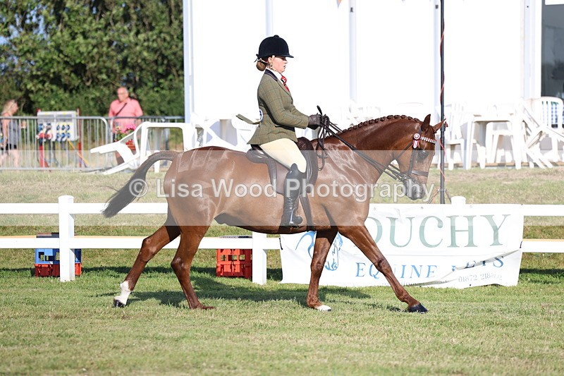 3E7A4966 - Class 1: Rising Star Small Hack/Riding Horses