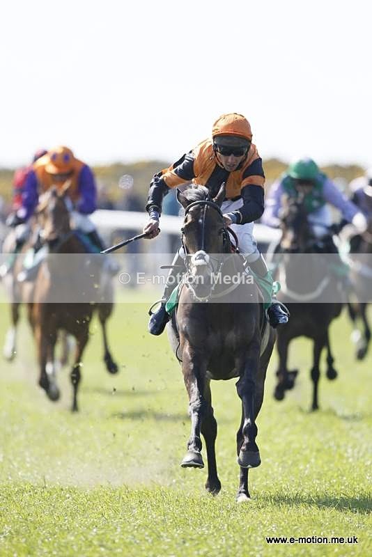  GRD 030510 163 - Guernsey Race Day 03/05/10