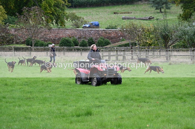 WJ7_4352 - Camera 1 Line 3