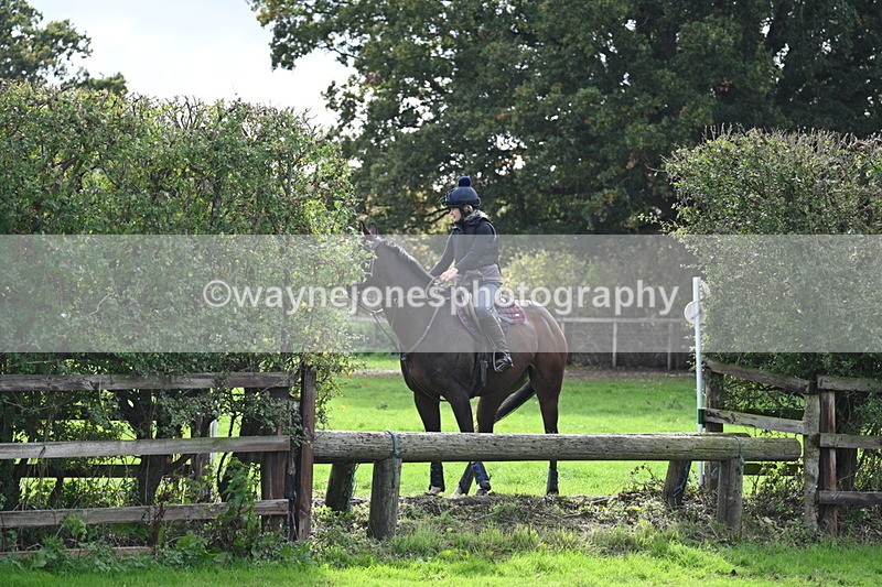 WJ7_9207 - Time 12:55 to 13:13