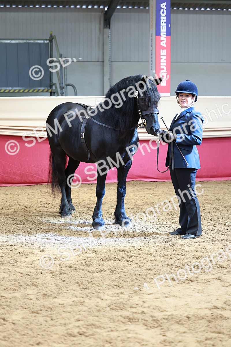 SBM_17535 - Class 951 - M&M IH Supreme Final