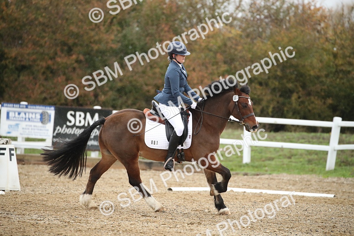 SBM_001699 - Prelim 2