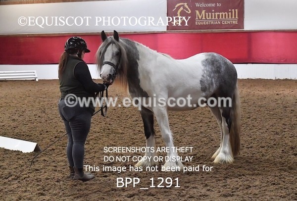 BPP_1291 - MORNING 9AM - 12PM