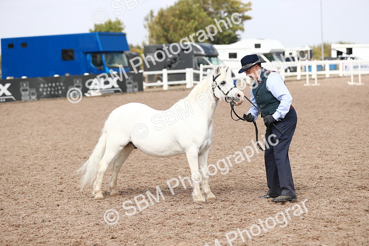 SBM_13930 - Class 209 IH Veteran Pony
