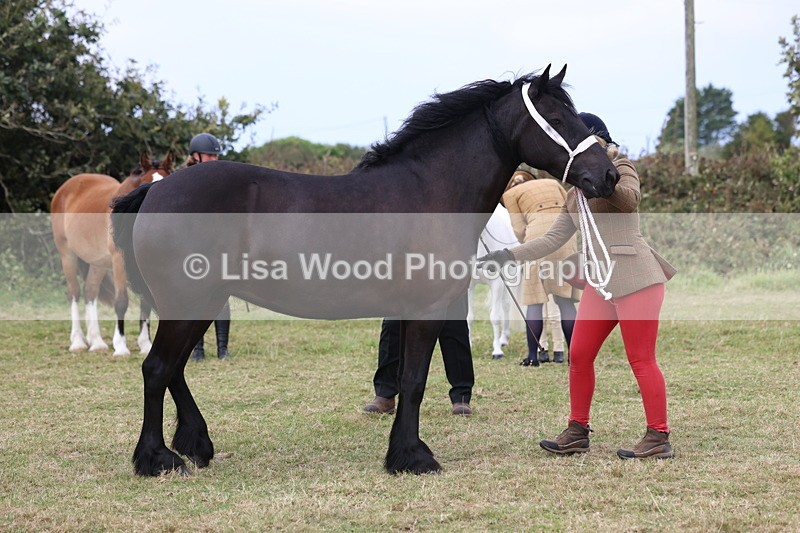 3E7A4700 - Class 16: Best Grass Kept