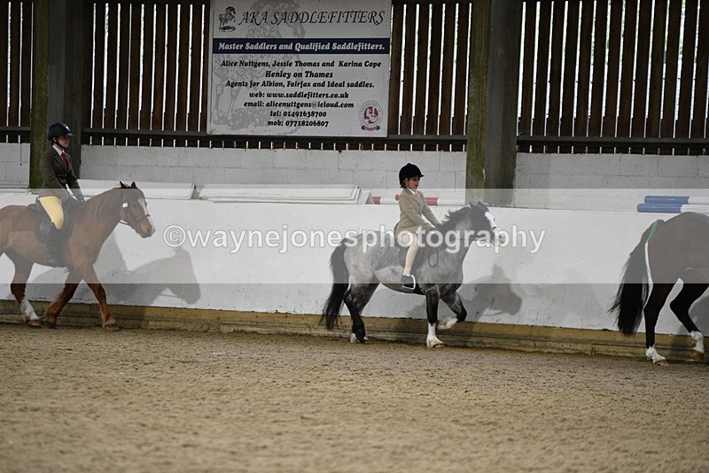 WJ5_8182 - Class 14 Novice Ridden/Rider
