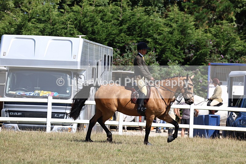 3E7A6259 - Class 6: Working Hunter 1m