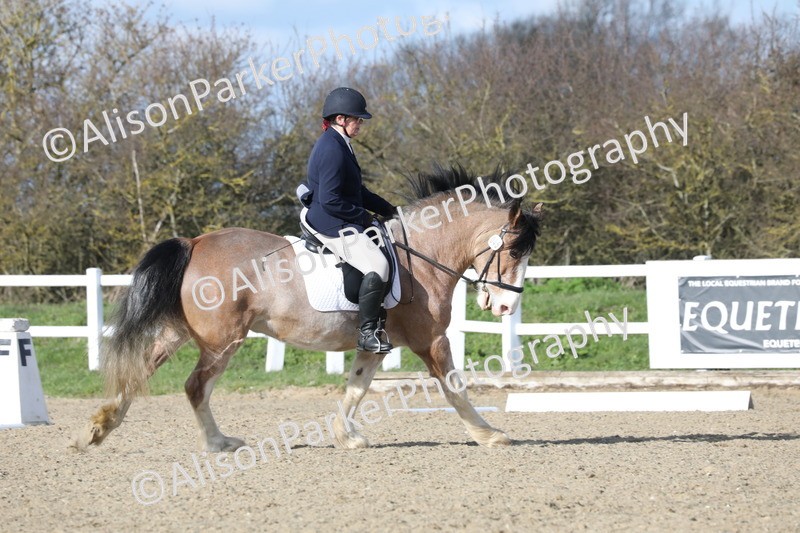 20260314-5012 - CT6 - Elementary 1