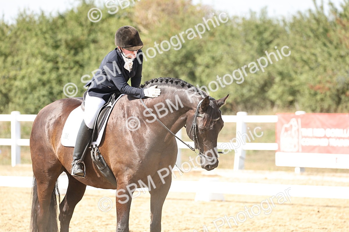 SBM_014885 - Class 7 - Medium 3