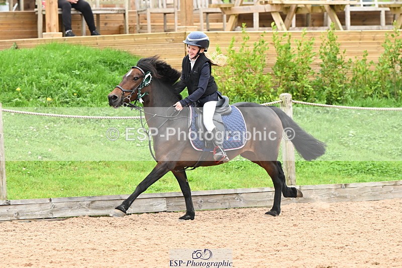 240907A-131956-01956 - Cls 3 Pony Medium Team 80cm & 90cm