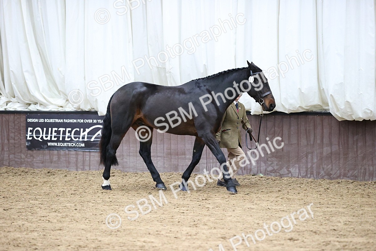 SBM_5619 - Class 40 - RESS In Hand Qualifier