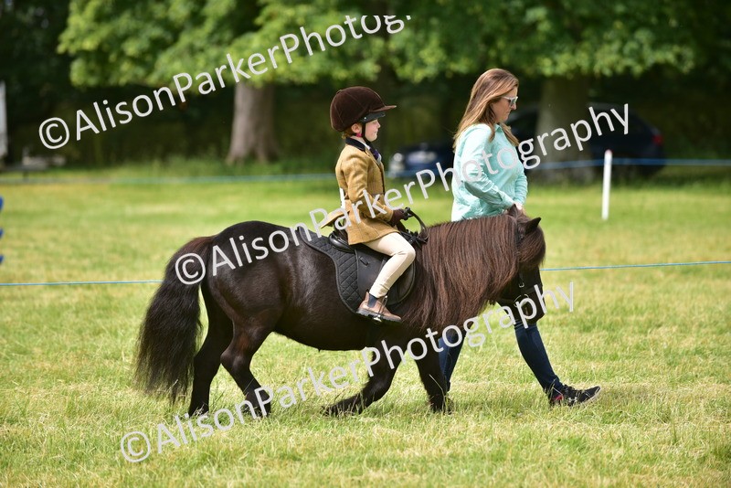 20260614-4187 - Class 17 - Best Mane and Tail