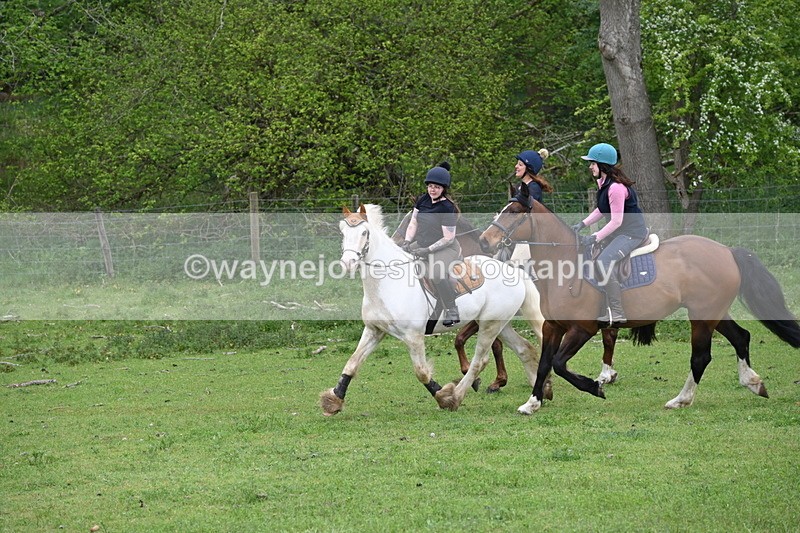 WJ6_3140 - A camera