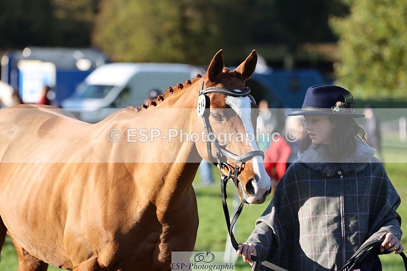 241027-091111-15094 - 314-Beth.Jones-FANTASY.CHILLI.(GB)