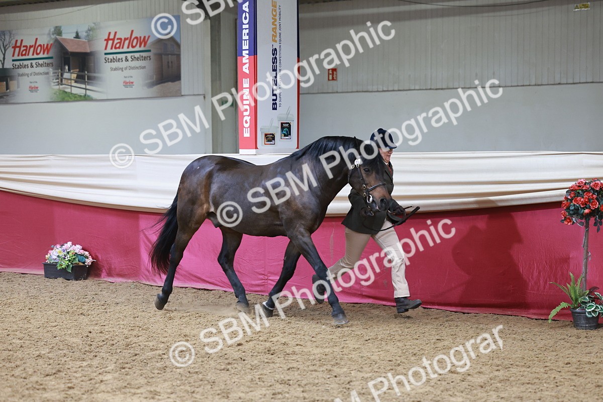 SBM_17418_Class 951 - MM IH  Supreme Final - Julie Moxon