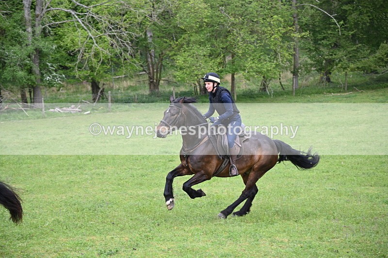 WJ6_2693 - A camera
