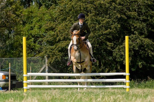 79 - Moniaive Horse Show 2008