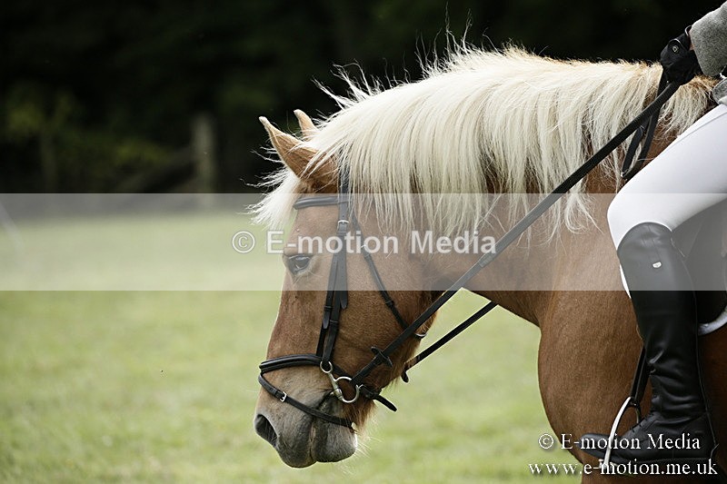 BVR080918 99 - BVRC Novice Dressage & CR 08/09/18