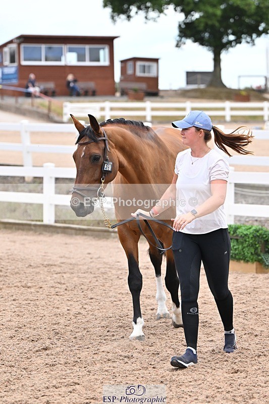 250716-140543-00910 - Trot Up 1.30 to 2.30