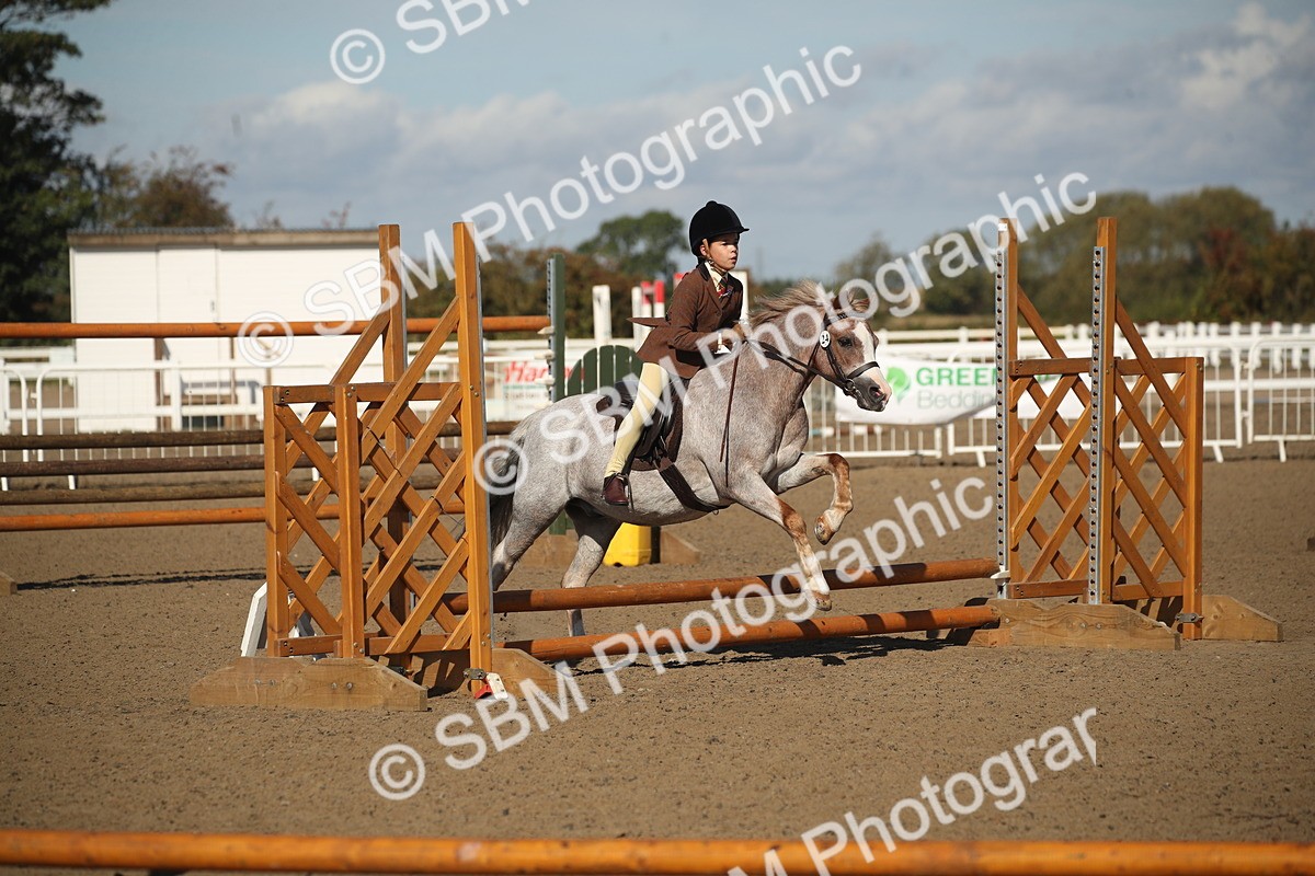 SBM_12709 - Class 504b - Junior Working Veteran - 40cm (20+)