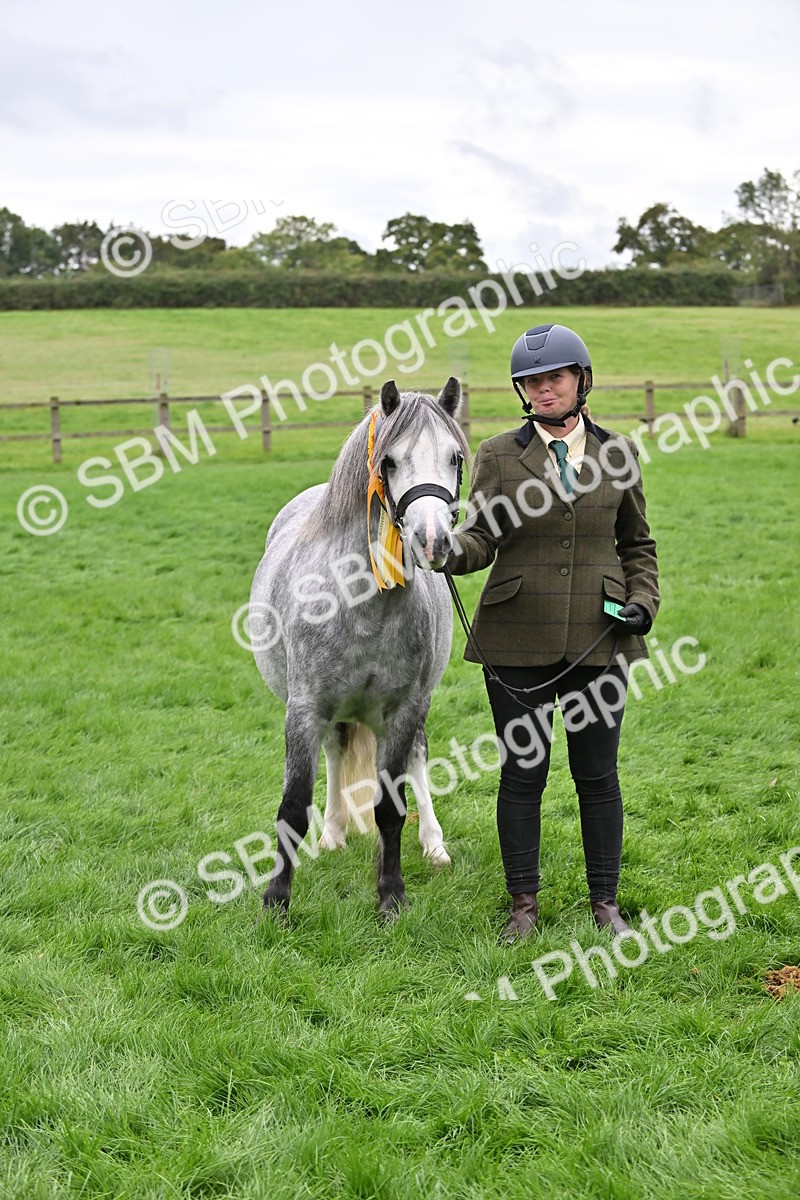 SBM_61053 - S48 - Mountain & Moorland In Hand Small Breeds