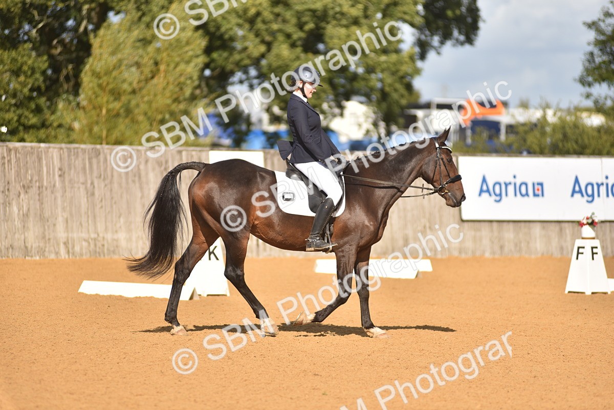 SBM_02979 - D4 - Small Tour Championship Intro 4
