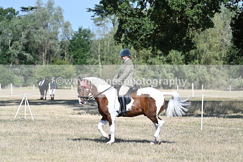 WJ7_3240 - Class 8 Ridden Tack & Turnout