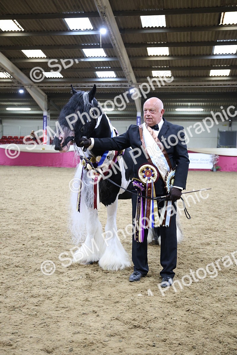 SBM_18630 - Class C Best Turned Out Champ