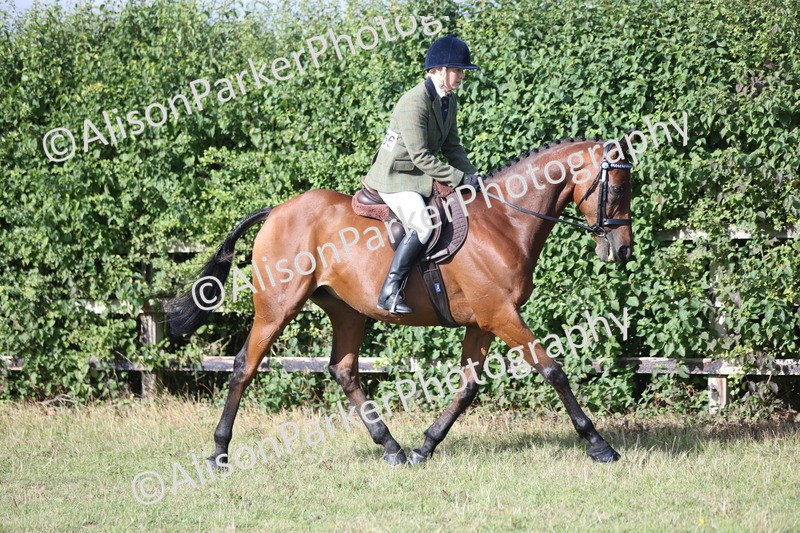 20250831-0841 - Class 14 - Ex Racehorse