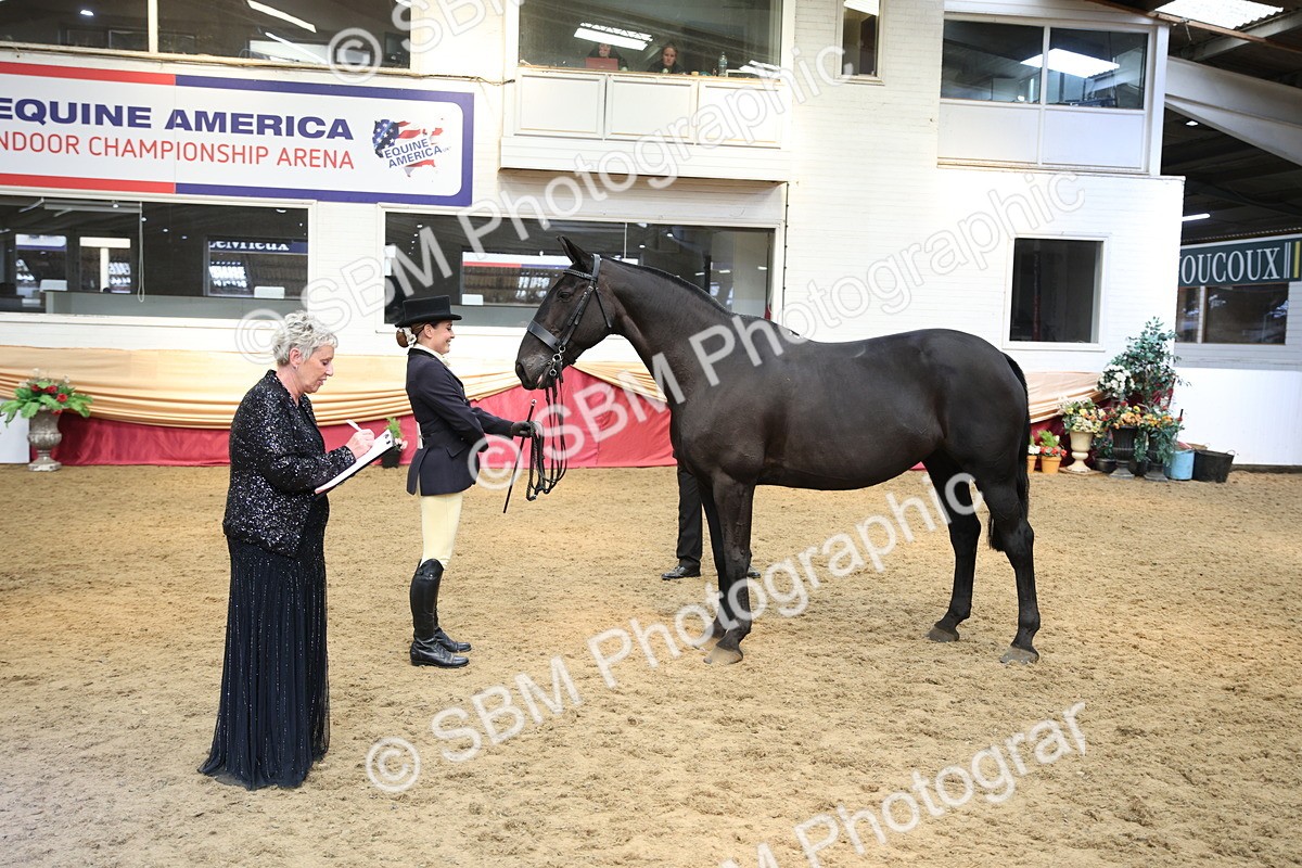 SBM_24245 - Class 905 - Supreme Final - Ridden Veteran