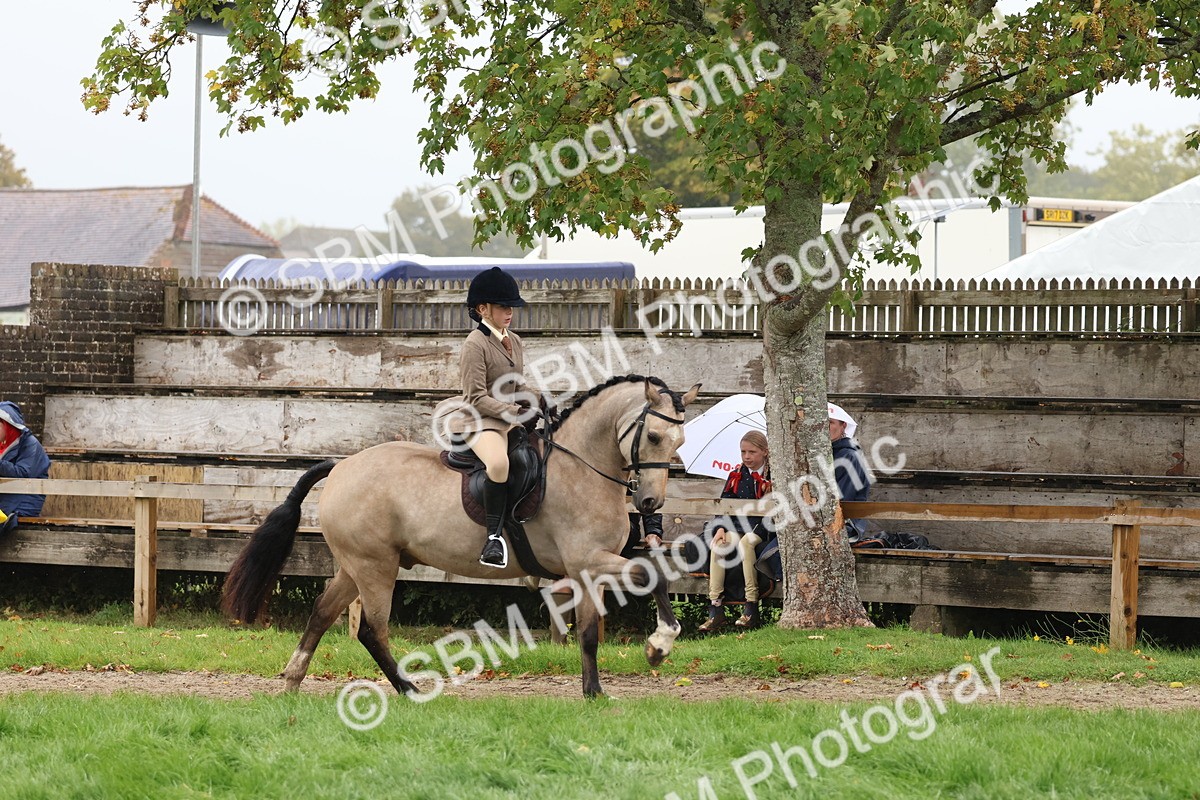 SBM_73006 - S63 Show Pony & Show Hunter Pony Ridden