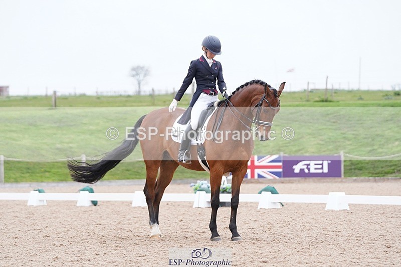 250403-161522-03265 - 028-Elizabeth.Allen-Heraldik