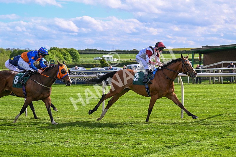 110526-Race 6-Betties Bay-1255 - Race 6 5.00pm Racing Again 21st May Fillies' Handicap