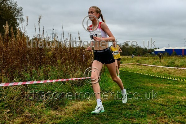 WestRLY25-811802 - Young Female Set One