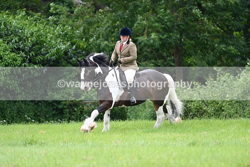 WJ7_2346 - Class 12A Coloured Class