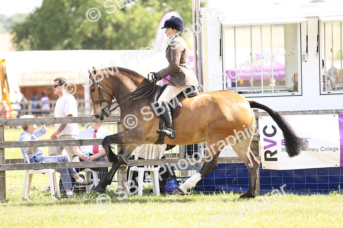 SBM_13738 - Class 77 - LIHS BSHA Rising Star Cobs